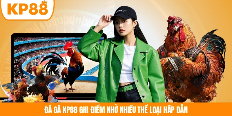 Đá gà KP88 ghi điểm nhờ nhiều thể loại hấp dẫn 
