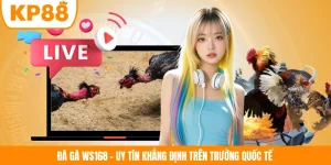 Đá Gà WS168 - Uy Tín Khẳng Định Trên Trường Quốc Tế