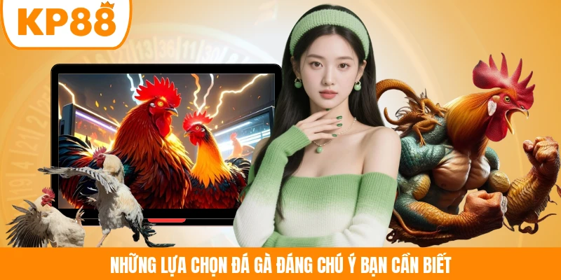 Những lựa chọn đá gà đáng chú ý bạn cần biết